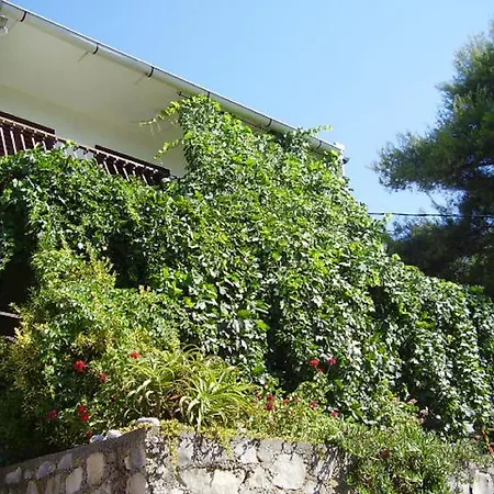 Apartment Bogomolje